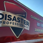 Disaster Professionals