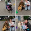 Four Leggers Pet Supplies & Services gallery