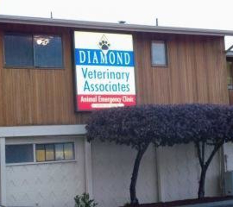 Diamond Veterinary Associates - Everett, WA