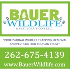 Bauer Wildlife & Pest Solutions