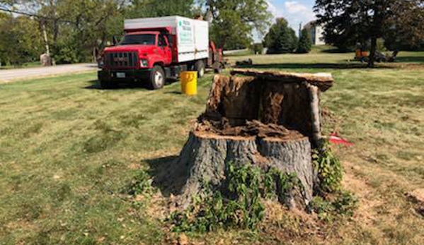 Precise Tree Care, Inc. - Frankfort, IL. Tree Removal