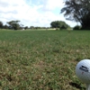 Delray Beach Golf Club gallery