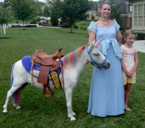 Daisy's Clowns & Entertainers - Maryville, TN