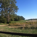 Mills Apple Farm - Orchards