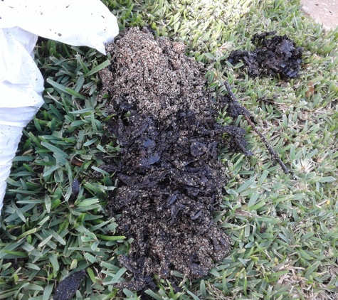 Advanced Home Services - Orlando, FL. Debris removed from drain.