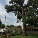 Sawyers Tree Service - Tree Service