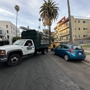 Los Angeles CA Tree Service