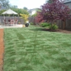 Better Lawns and Gardens gallery