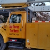 Dan Thomas Tree works and bucket truck service gallery