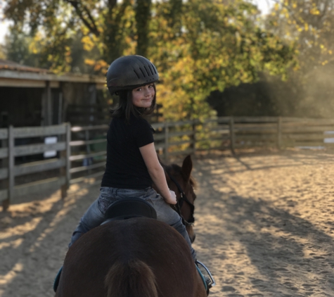 Trinity Stables - Lawrenceville, GA