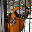 Sunny Beaks, LLC - Pet Stores