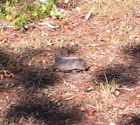 Howard Park - Tarpon Springs, FL