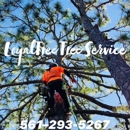 Loyal Tree Tree Service - Tree Service