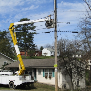 Pro Tree Service - Chattanooga, TN