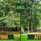 Daves Tree Removal Inc