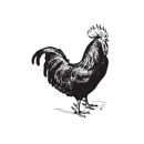Watertown Whiskey Coop - Restaurants