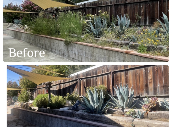 RG Landscaping & Services - San Miguel, CA. Weed cleanup 