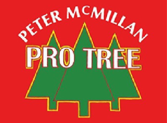 Peter McMillan Pro Tree - Plymouth, MA