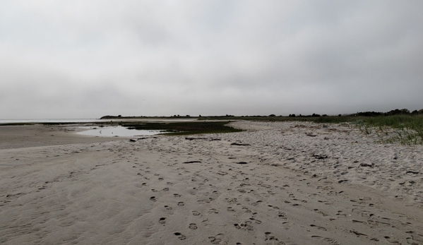 Monomoy National Wildlife Refuge - Chatham, MA