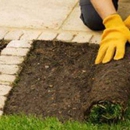 Green Thumb Landscaping Inc - Landscaping & Lawn Services