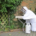 Bee and Wasp Removal