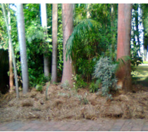 Shuker Farm - Darwin River, NT