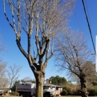 Dalton's Tree Service