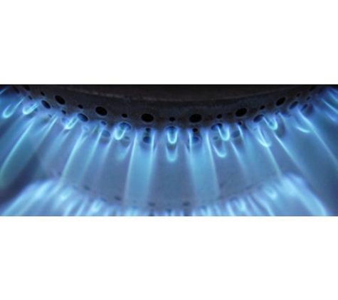 McGrath & Frisby Plumbers and Electricians - Ashgrove, QLD