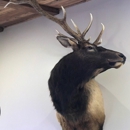 Wildlife Arts Taxidermy - Taxidermists