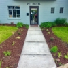 the winston pet hotel gallery