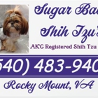 Sugar Baby Shih Tzu's at Loli-Pop farm