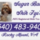 Sugar Baby Shih Tzu's at Loli-Pop farm