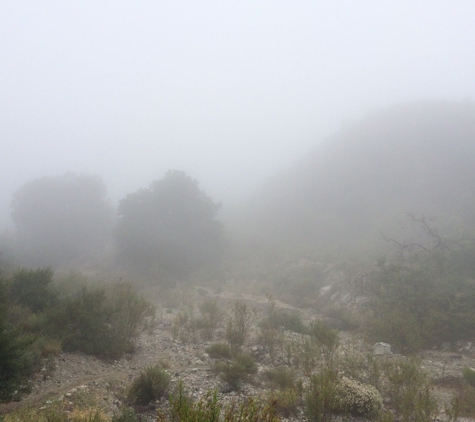 Deukmejian Wilderness Park - La Crescenta, CA