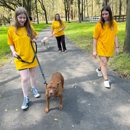 Yella Dawg Farms - Dog Training