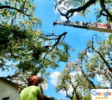 All Your Way Lawn, Tree, and Property Maintenance - Tampa, FL