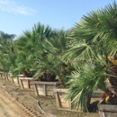 Big Tex Trees Nurseries - Landscape Designers & Consultants