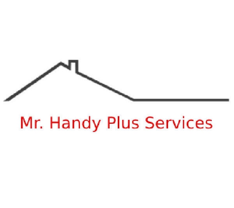 Mr. Handy Plus Services - Houston, TX