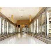 Gallery Image Number 3