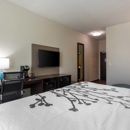 Sleep Inn & Suites Tampa South - Motels