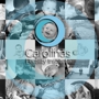 Carolinas Fertility Institute