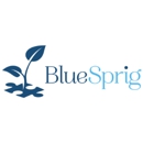 BlueSprig - Nursing Homes-Skilled Nursing Facility