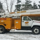 BAM Tree Service LLC - Tree Service