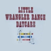 Little Wrangler Ranch Daycare & Preschool gallery