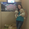 Amber's Luxury Pet Hotel gallery