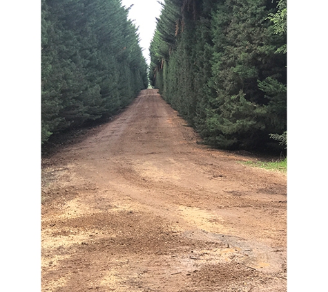 DAC Earthmoving & Fire Prevention Services - Napoleons, VIC