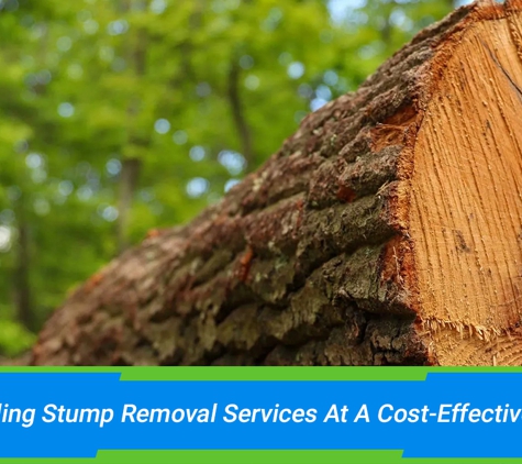 Affordable Stump Grinding - Elanora, QLD. Providing Stump Removal Services At A Cost-Effective Price