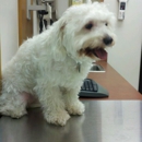 Banfield Pet Hospital - Veterinary Clinics & Hospitals