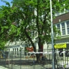 Elmhurst Public School 89 gallery