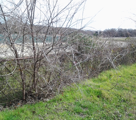 clearing&trimming services - Arlington, TX