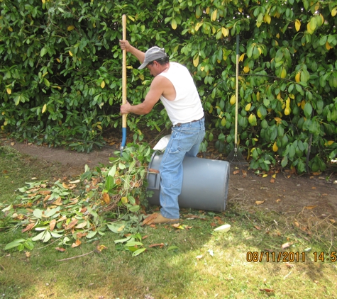 YARD BIRDS LANDSCAPE CLEAN UP - Seattle, WA